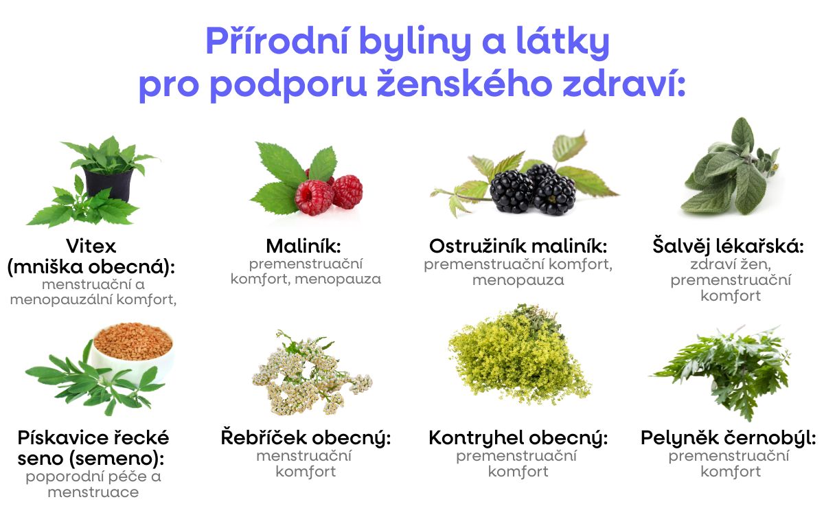 prirodni byliny a latky cyklus